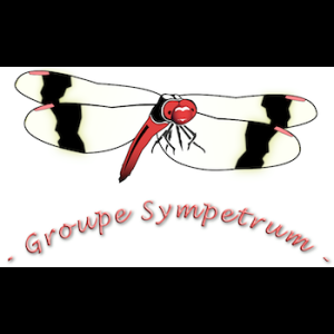 Groupe Sympetrum